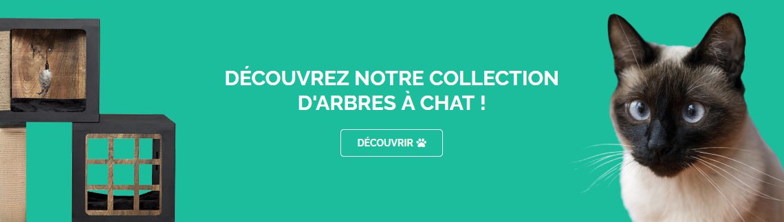 Fabriquer Un Arbre A Chat Diy Comment Faire Arboricat