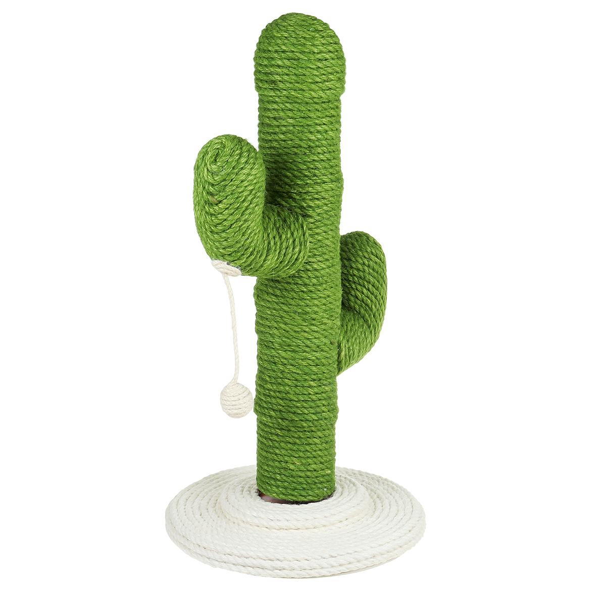 griffoir-cactus