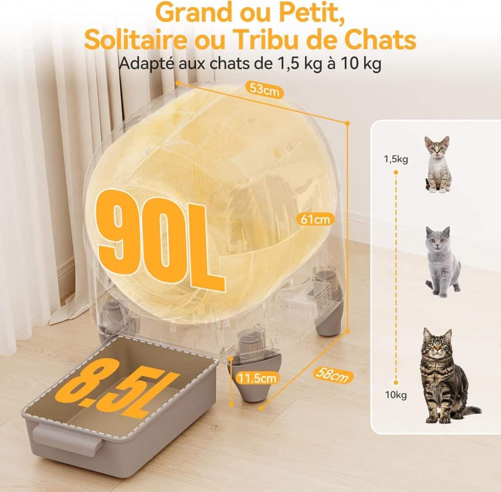 81+0SkuXe-L._AC_SL1500_